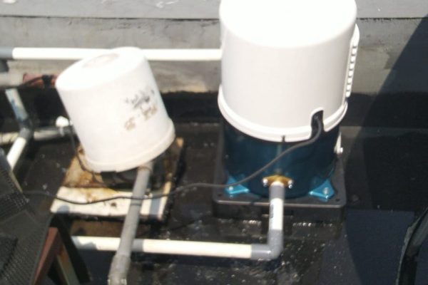 WhatsApp Image 2025-11-24 at 8.48.43 AM